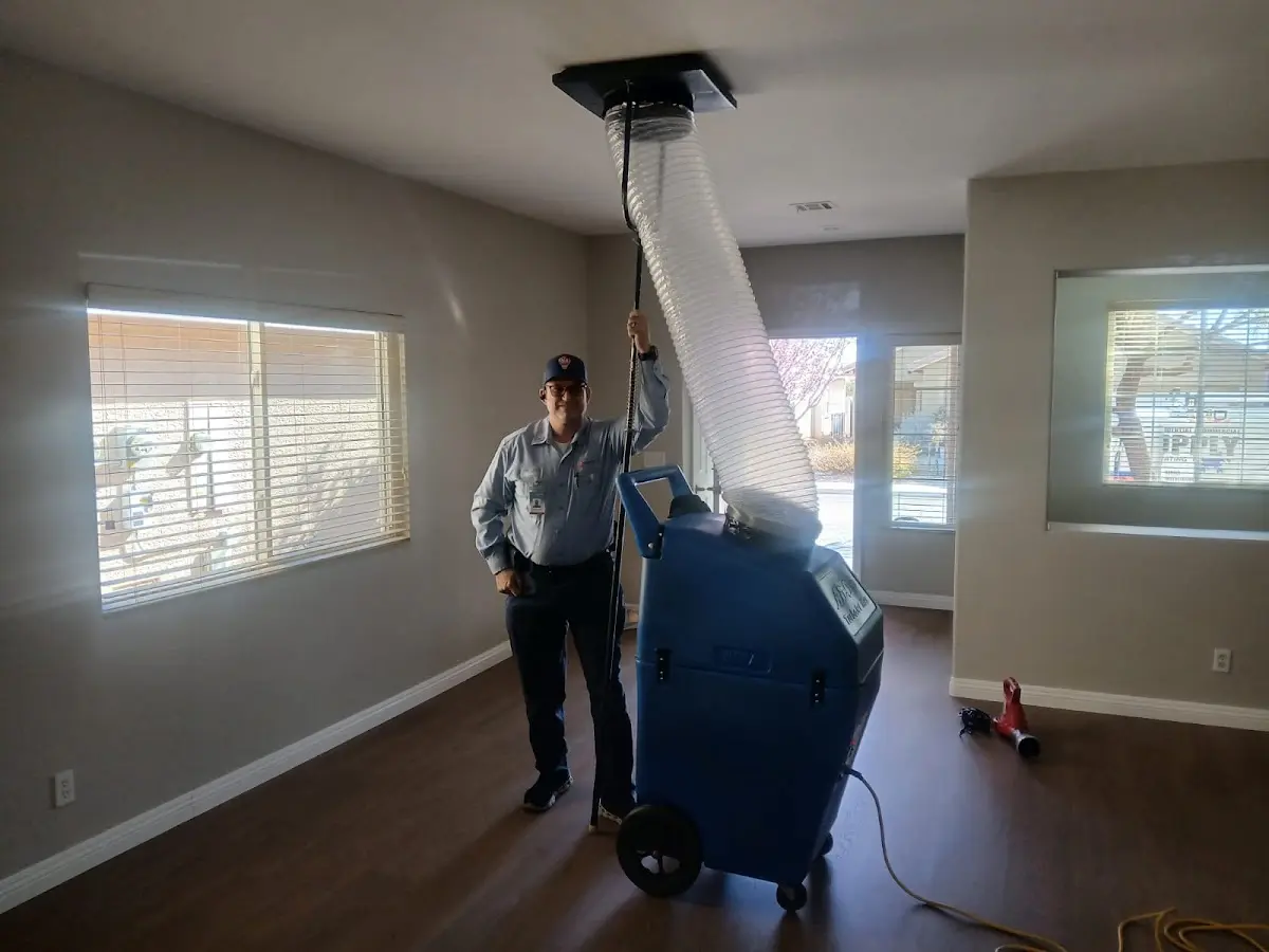 Professional Dryer Vent Cleaning work inside a Red Bank home